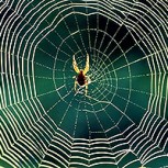 Extraño fenómeno logra que una playa griega aparezca cubierta por una gran telaraña