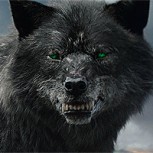 Cabeza de lobo gigante con más de 30.000 años fue encontrada intacta en Siberia