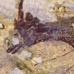 Encuentran el arte rupestre más antiguo del mundo que expertos estiman tiene 45 mil años