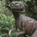 Misteriosa criatura parecida a un “dinosaurio bebé”  es captada en Florida