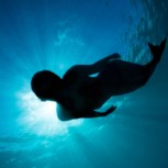 Científicos japoneses investigan origen de la “momia sirena”: Un atrayente enigma