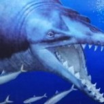 El monstruo marino que vivió en aguas peruanas hace más de 36 millones de años