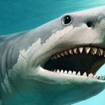 Encuentran tiburón de aterrador aspecto: Se disparan las teorías sobre su origen