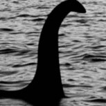Leyenda del “Monstruo del lago Ness” se tomó las redes por extraña criatura encontrada en una playa 