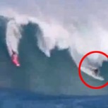 Video: Impacto por desaparición de famoso surfista “tragado” por una ola