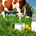 Colun congela los precios de todos sus productos en medio de la crisis por coronavirus