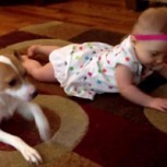 Video: Perro enseña a gatear a bebé de 7 meses
