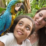 Panoramas de vacaciones de invierno: Buenas ideas para divertirse con los niños