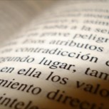 Hipónimos e hiperónimos: ¿Qué son y para qué nos sirven?