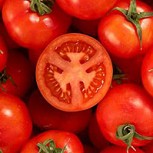 ¿Cuáles son los beneficios de comer tomate? Conoce 7 datos