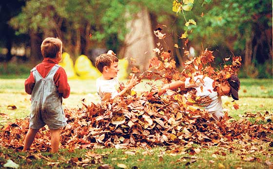 Resultado de imagen para niño en la naturaleza