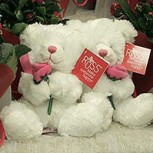 Día de los enamorados: Descubre los secretos para enamorar a cada signo del zodiaco