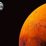 Científicos encuentran animal capaz de vivir sin problemas en Marte