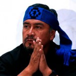 ¿El robo de madera fortalece la economía mapuche? Afectados responden a declaraciones de Llaitul