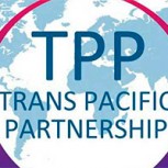¿Qué cambios implica aceptar el TPP-11? Lo que conlleva este acuerdo que vuelve al debate