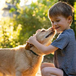 Protección de mascotas: ¿Quién se hace responsable y cuáles son las consecuencias?