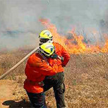 Crisis medioambiental por el incendio en Valparaíso y las medidas para enfrentar los daños