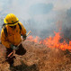 Incendios intencionales en Chile: Radiografía de un delito de alto impacto y la brecha entre castigo, prevención e investigación