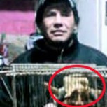 El increíble caso del hombre que aseguró haber atrapado un duende real y lo mostró