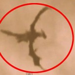 ¿Dragón sobrevolando Inglaterra? Impacto por video de supuesto ser mitológico