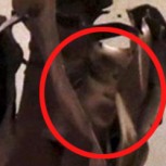 Revuelo por presunto rostro humano que apareció en viga de acero de una de las Torres Gemelas