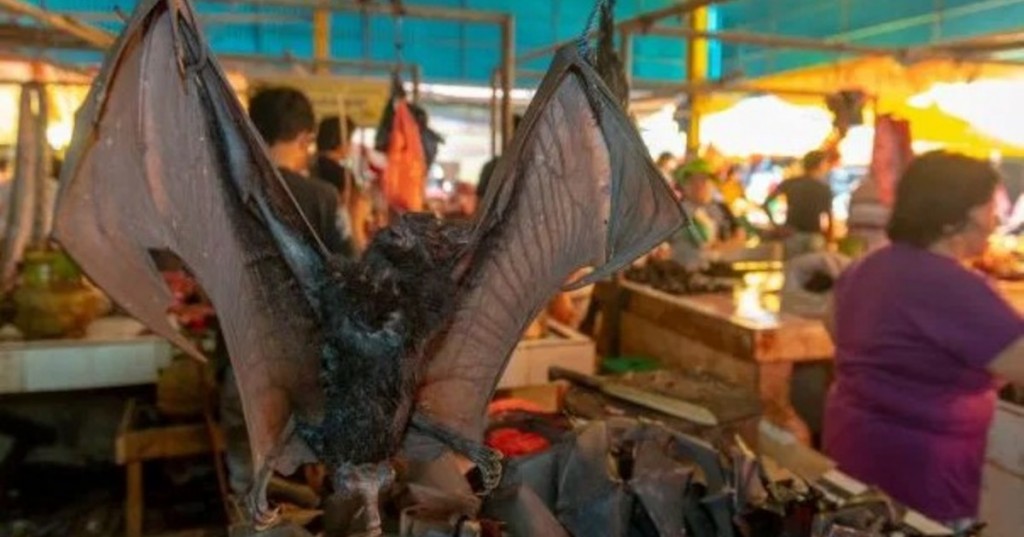 el-impactante-mercado-de-animales