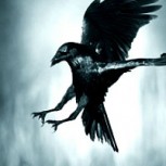La leyenda del Tué Tué: El fatídico pájaro al que se le atribuye el anuncio de muertes y desgracias