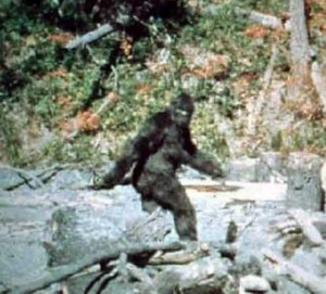 La imagen más famosa del Big Foot o Pie Grande, captada en octubre de 1967 por Roger Patterson y Bob Gimlin en un bosque de California.