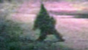 duende_eltribunodesalta