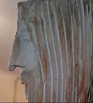 96913107-14571031-In_2022_a_father_spotted_the_face_of_Jesus_when_he_was_chopping_-a-3_1743760829045