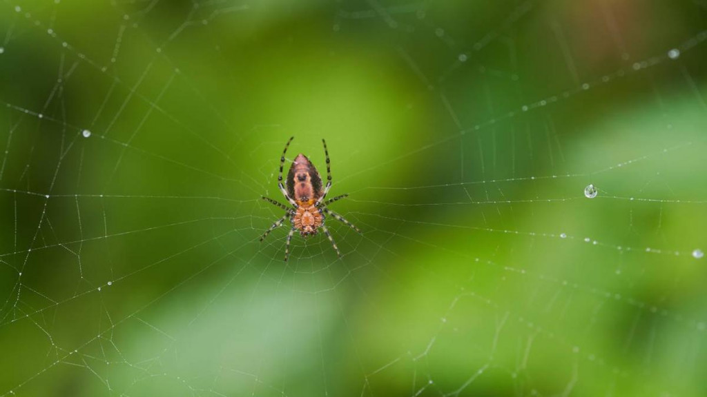 845364e9-c9a8-4f8c-a6ba-953ae64df0f3_16-9-discover-aspect-ratio_default_0