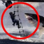 Insólito: Fotografías falsas que se viralizaron y que engañaron a todo el mundo