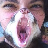 Las mejores fotos tomadas en el momento justo del 2013