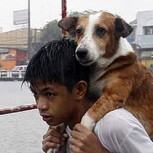 25 de las fotos que más impactaron al mundo en el 2013