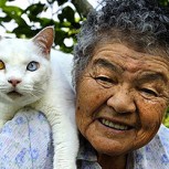 16 fotos que emocionan: La increíble relación entre una abuela y su gato