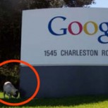 Fotos de 14 curiosidades de Google que de seguro no estabas al tanto