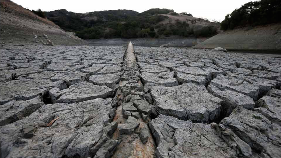 Sequía extrema en EE.UU Fotos de la catástrofe que está matando al