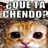 Ola de frío: Los mejores memes para reírse de las bajas temperaturas