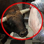 Fiesta de San Fermín: Fotos impactantes de las primeras corneadas de los toros en Pamplona