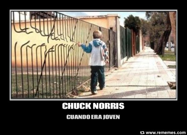 chuck-norris-memes-25