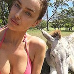 Irina Shayk: Fotos de la modelo con animales generan elogios entre seguidores