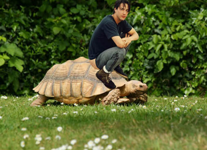 keanu-reeves-meme-2