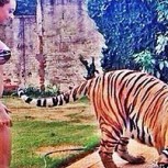 Los “narcos juniors” presumen con fotos del dinero de las drogas: Armas, helicópteros y mujeres