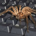 Las fotos más traumatizantes que puedes encontrar en Internet: Una galería solo para valientes