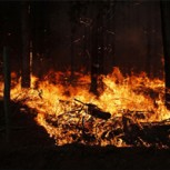 Fotos de los Incendios forestales: Vea la impactante magnitud de la tragedia