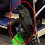 20 fotos de las cosas más raras e inexplicables que verás alguna vez en el Metro: Increíble, pero cierto