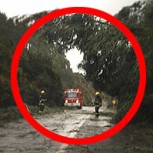 Fotos del intenso temporal en el sur de Chile: Inundaciones, árboles caídos y derrumbes