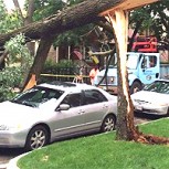 Fotos de 15 coincidencias tan increíbles que parecen manipuladas, pero son verdaderas y sorprendentes