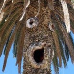 22 fotos en las que tu mente juega contigo para que veas cosas que no son lo que crees
