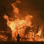 Incendios en Australia: Fotos del dantesco avance de las llamas sobre barrios residenciales y bosques
